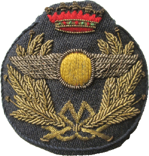 Знак Кокарда ВВС