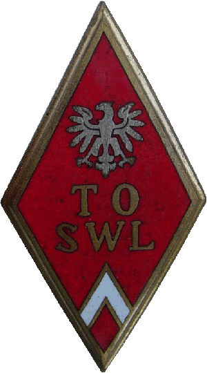 Нагрудный знак Техническая офицерская школа ВВС 