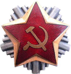 Знак ARMY OFFICERS VISOR CAP BADGE