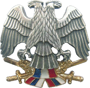 Знак ARMY SOLDIERS BERET BADGE 