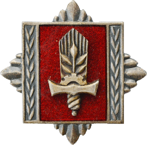 Знак ARMY SUPPLY ACADEMY