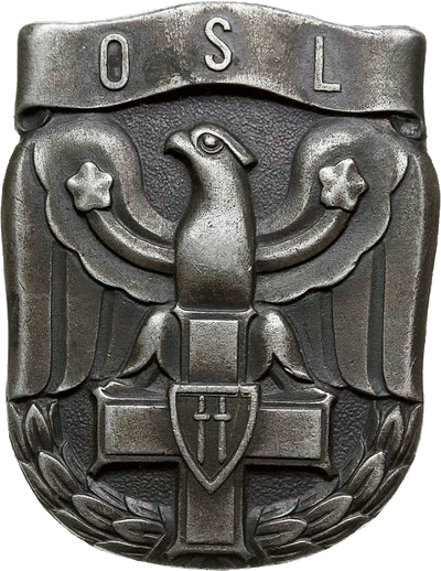 Badge Officer aviation school 