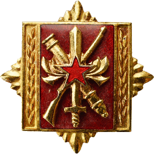 Badge Command staff academy 