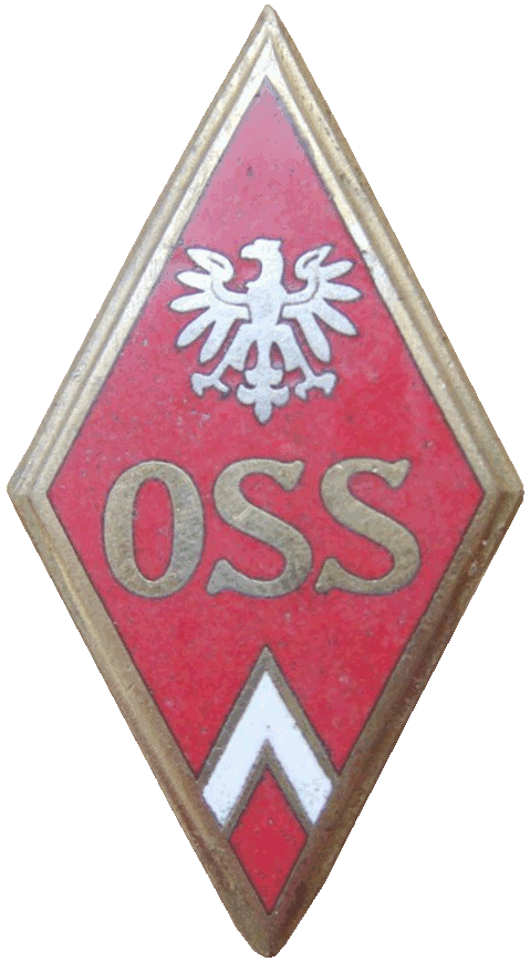 Badge Officer avtomobile school 