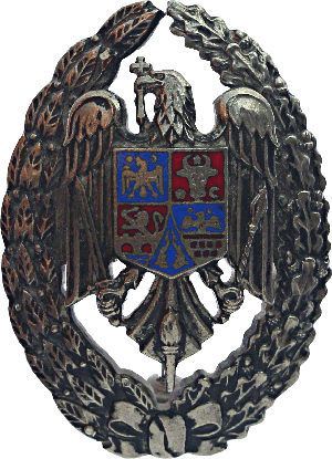 Знак MILITARY ACADEMY