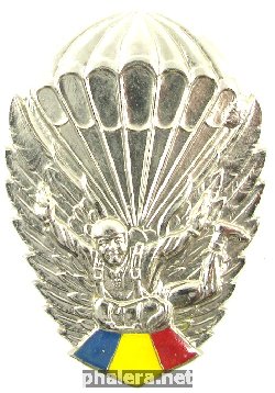 Знак Парашютист, серебряный