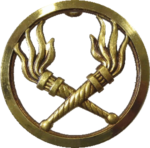 Знак Gasoline service