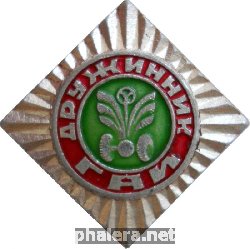 Знак Дружинник ГАИ