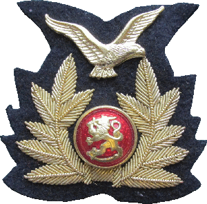 Знак Кокарда ВВС