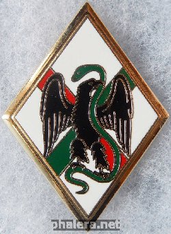 Нагрудный знак 1 пехотный полк иностранного легиона 