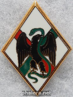 Нагрудный знак 1 пехотный полк иностранного легиона 