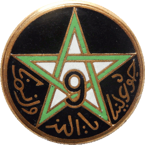 Нагрудный знак 9 стрелковый марокканский полк 