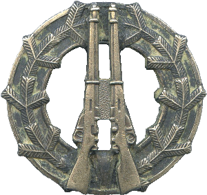 Знак За отличную стрельбу из винтовки, золотая степень