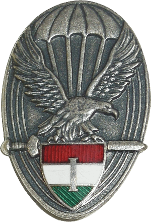 Знак Парашютист 1 класса