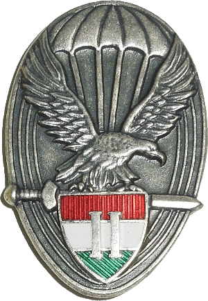 Знак Парашютист 2 класса