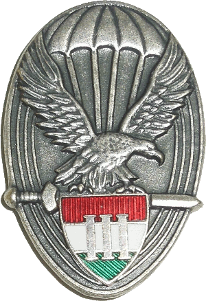 Знак Парашютист 3 класса