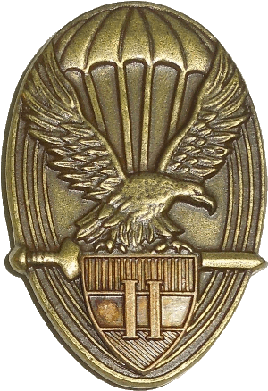 Знак Парашютист 2 класса