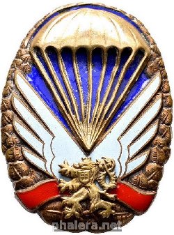 Нагрудный знак Парашютист, бронзовый 