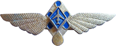 Badge Pilot without class 