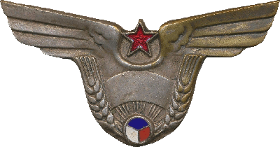 Знак Пилот Агроейр