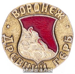 Нагрудный знак Воронеж 