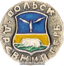 Нагрудный знак Вольск 