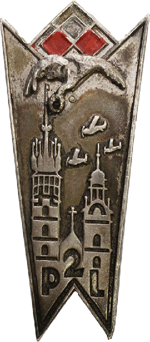 Badge 2nd aviation regiment 