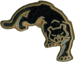 Знак АПЛ К-317 Пантера