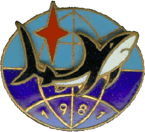Нагрудный знак АПЛ ТК-208 Дмитрий Донской 1981 