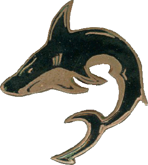 Знак АПЛ ТК-208 Дмитрий Донской