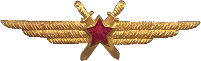 Нагрудный знак Летчик без класса 