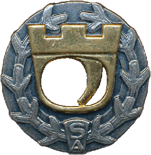 Знак За отличную стрельбу