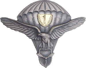 Знак Parachutist 1st class, air force