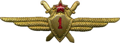 Badge Pilot 1st class 