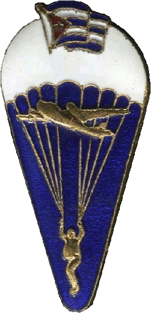 Знак Parachutist