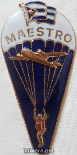 Badge Instructor 