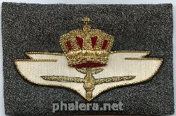 Знак Pilot