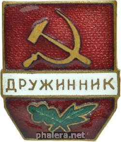 Знак Дружинник