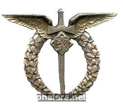 Нагрудный знак Летчик 