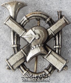Знак 2ой резервный дивизион кирасир