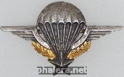 Нагрудный знак Парашютист 