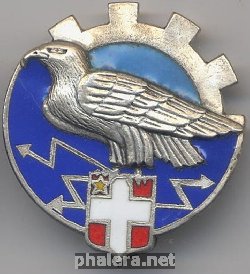 Нагрудный знак 309 школа г. Шембер 
