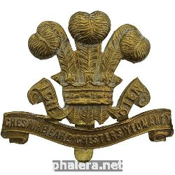 Знак Чеширский епархиальный полк