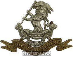 Знак Герцога Веллингтонского полк
