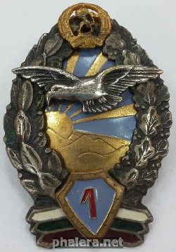 Badge Pilot 1st class 