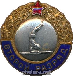 Знак Второй разряд. Гимнастика на брусьях Знак Второй разряд. Гимнастика на брусьях