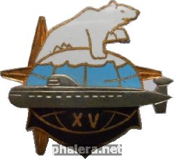 Знак АПЛ 15 лет