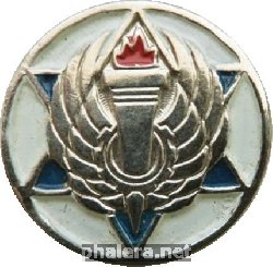 Знак AIR FORCE TECHNICIOAN SCHOOL BASE