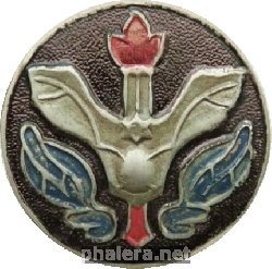 Знак AIR FORCE ANTI-AIRCRAFT COLLEGE