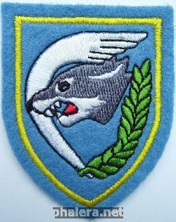 Нагрудный знак 1-ое истребительное крыло 